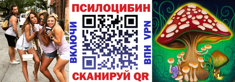 Купить  Горячий Ключ  Галлюциногенные грибы MAGIC MUSHROOMS 